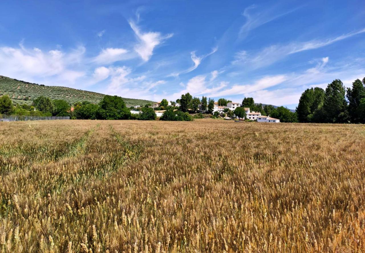 Complejo Apartamentos Rurales Molino De Abajo Ribera Baja  Buitenkant foto