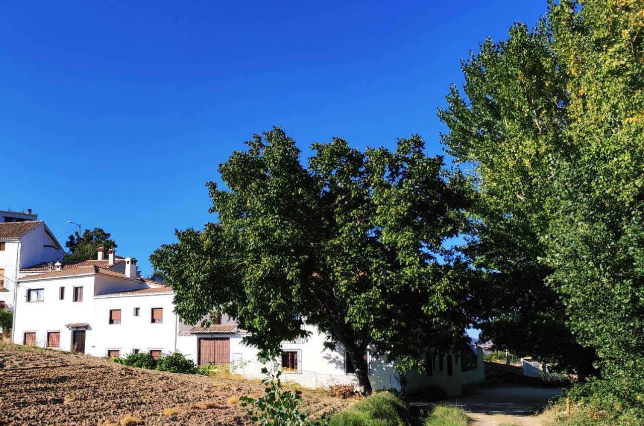 Complejo Apartamentos Rurales Molino De Abajo Ribera Baja  Buitenkant foto